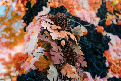 Halloween  Flowerwall  image 5