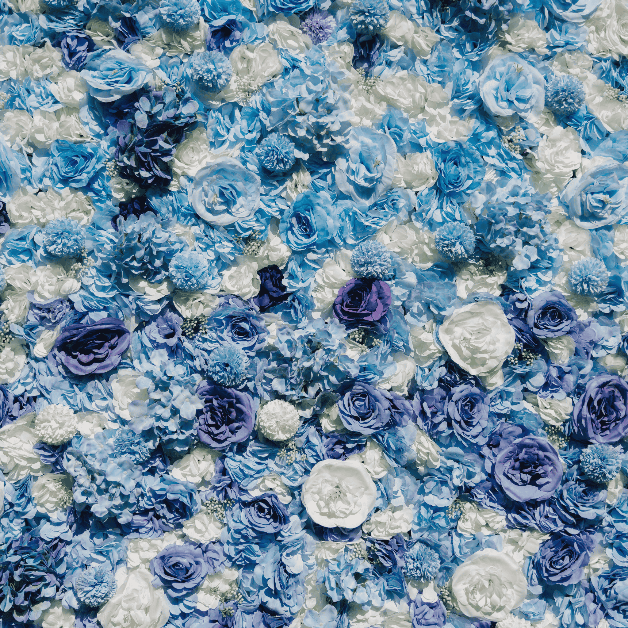 Blue ombré  Flowerwall