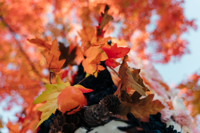 Halloween  Flowerwall  image 4