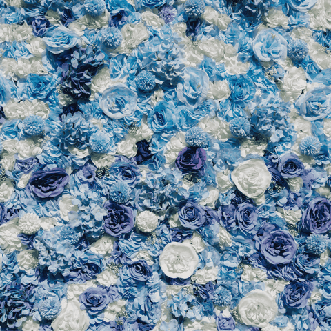 Blue ombré  Flowerwall 